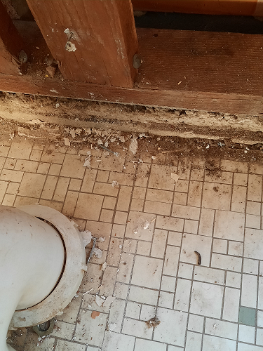 Close-up of asbestos particles remaining in the bathroom of a demolition site