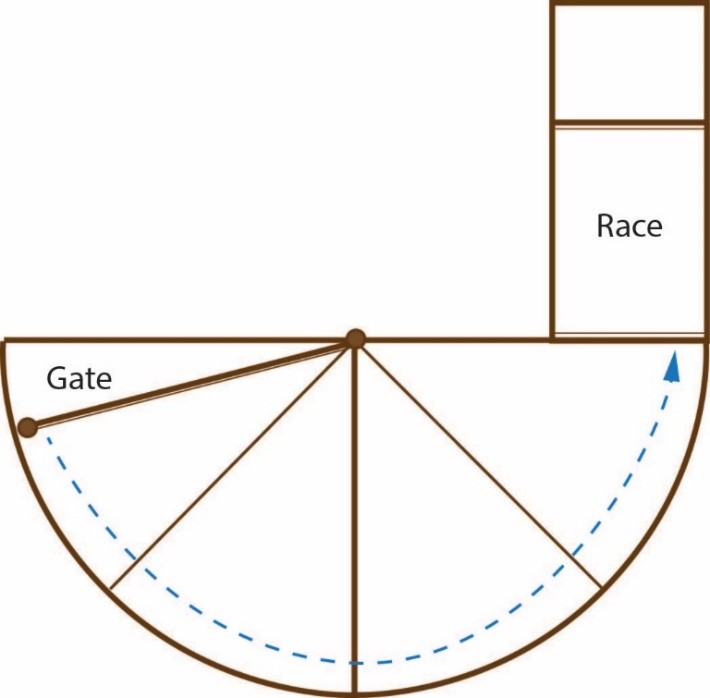 Round forcing pen showing the location of the gates and race